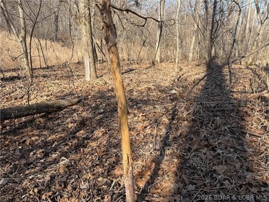 Great 5 acres of land located just outside of Camden County's - photo 22