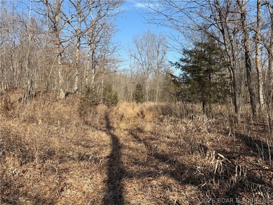 Great 5 acres of land located just outside of Camden County's - photo 26