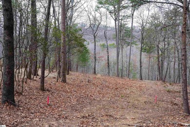 North Saluda Reservoir Acreage For Sale in Travelers Rest South Carolina
