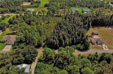 Lehigh Acres Area Lot For Sale in Lehigh Acres Florida