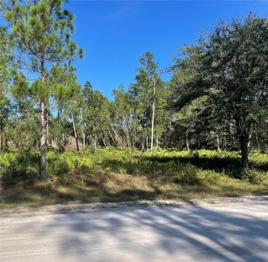 Lake George Lot For Sale in Georgetown Florida
