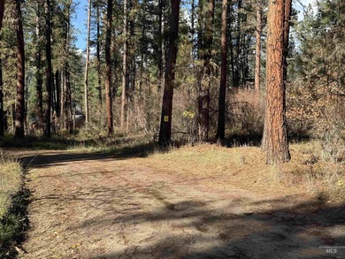Payette River Lot For Sale in Garden Valley Idaho
