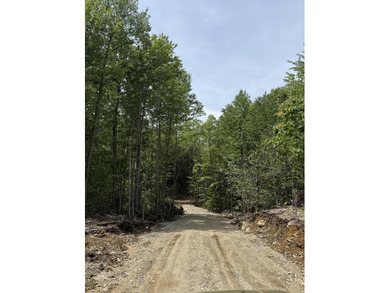 Developers take notice! This beautiful untouched parcel is - photo 1