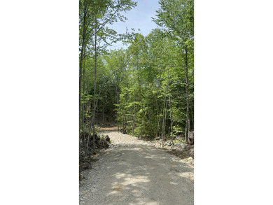 Developers take notice! This beautiful untouched parcel is - photo 2