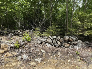 Developers take notice! This beautiful untouched parcel is - photo 3