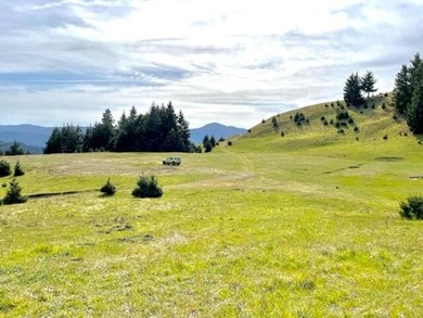 THE BUCKEYE RANCH IN Petrolia -- A rare opportunity to own 2 - photo 5