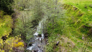 THE BUCKEYE RANCH IN Petrolia -- A rare opportunity to own 2 - photo 10