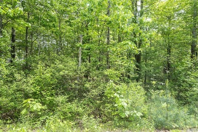 Have you ever just wanted home to feel like camp? This is your - photo 9