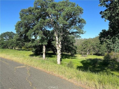 Hidden Valley Lake Acreage For Sale in Middletown California