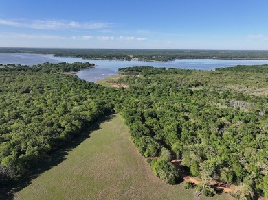 +/-325 acres with approximately 1 mile of frontage on Lake - photo 12