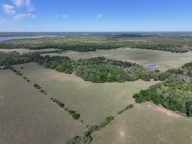 +/-325 acres with approximately 1 mile of frontage on Lake - photo 13