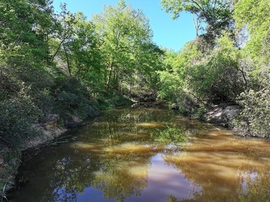 +/-325 acres with approximately 1 mile of frontage on Lake - photo 15