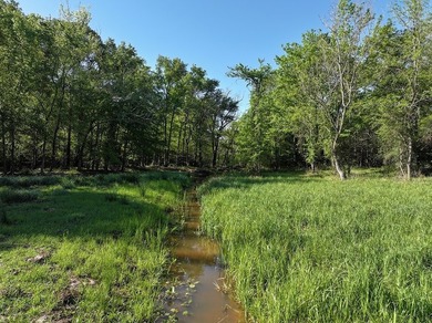 +/-325 acres with approximately 1 mile of frontage on Lake - photo 16