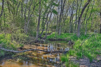 +/-325 acres with approximately 1 mile of frontage on Lake - photo 18