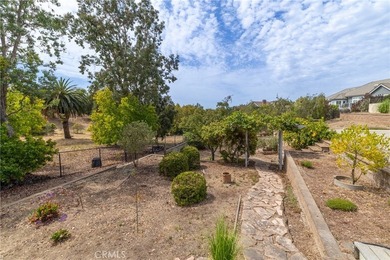 Perched on over an acre in one of Orcutt's most desirable - photo 20