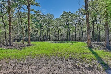 +/-325 acres with approximately 1 mile of frontage on Lake - photo 20