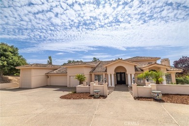 Perched on over an acre in one of Orcutt's most desirable - photo 25