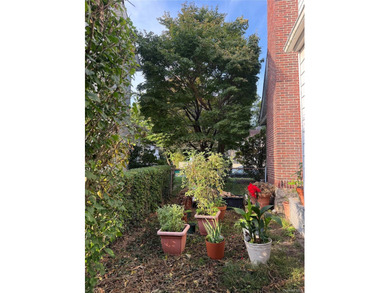 Nestled in the heart of the Rochelle Heights Historic District - photo 15
