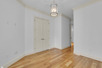 Welcome to effortless luxury in one of Downtown Greenville's - photo 28