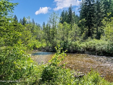 Tucked along 180 feet of Granite Creek frontage, this rare 1 - photo 7