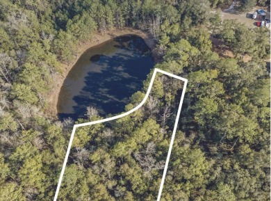 Lake Lot For Sale in Ponce De Leon, Florida