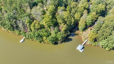 Looking for the perfect lakeside retreat? This lot on Runaway - photo 4