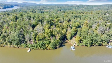 Looking for the perfect lakeside retreat? This lot on Runaway - photo 5