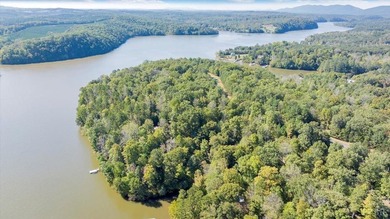 Looking for the perfect lakeside retreat? This lot on Runaway - photo 7