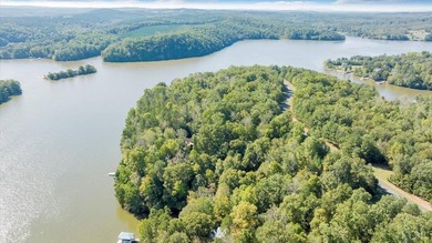 Looking for the perfect lakeside retreat? This lot on Runaway - photo 8