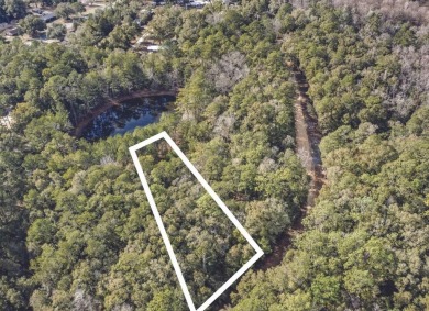 Lake Lot For Sale in Ponce De Leon, Florida