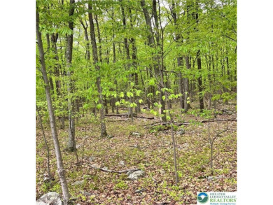 Indian Mountain Lakes Lot For Sale in Tunkhannock Twp Pennsylvania