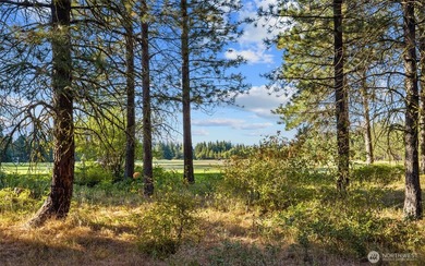 This premier Tumble Creek homesite offers a rare blend of - photo 1