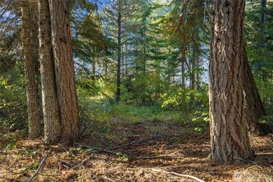This premier Tumble Creek homesite offers a rare blend of - photo 3