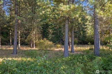 This premier Tumble Creek homesite offers a rare blend of - photo 6