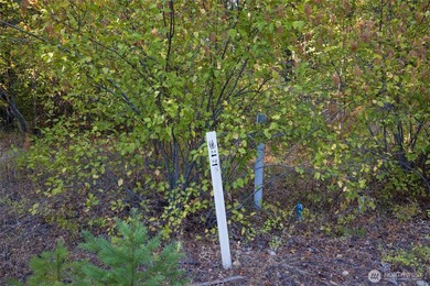 This premier Tumble Creek homesite offers a rare blend of - photo 8