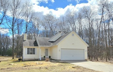 Lake Home For Sale in Howard City, Michigan