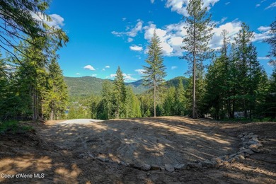 Sweeping views of the Cabinet Mountains and close proximity to - photo 2
