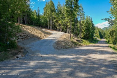 Sweeping views of the Cabinet Mountains and close proximity to - photo 4
