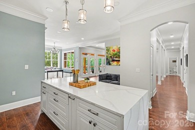 TURN KEY LUXURY  WITH CONSISTENT TRACK RECORD OF BOOKINGS YEAR - photo 11
