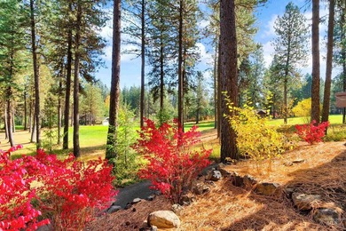 Tranquility beckons just 2.5 hours north of Boise in Idaho's - photo 38