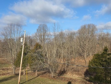 With over 3000 sqft of living space and nearly 7 acres, this