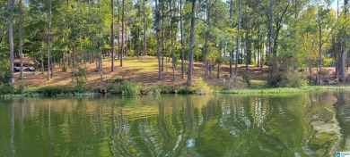 Lake Mitchell Lot For Sale in Rockford Alabama