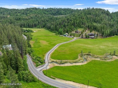 Experience the best of North Idaho living on this extraordinary - photo 4