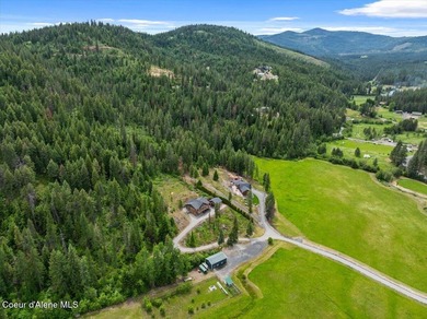 Experience the best of North Idaho living on this extraordinary - photo 5