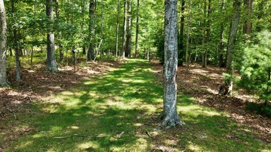 Escape to your own slice of paradise on 61 beautiful acres - photo 13