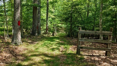 Escape to your own slice of paradise on 61 beautiful acres - photo 14