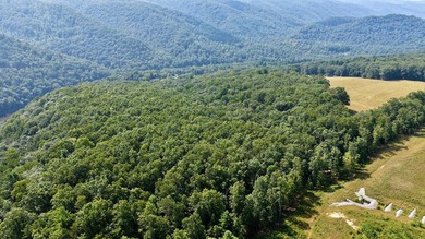 Escape to your own slice of paradise on 61 beautiful acres - photo 17