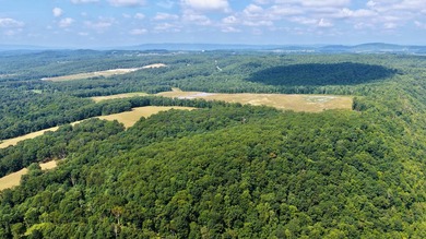 Escape to your own slice of paradise on 61 beautiful acres - photo 20