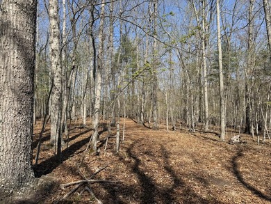 Escape to your own slice of paradise on 61 beautiful acres - photo 23