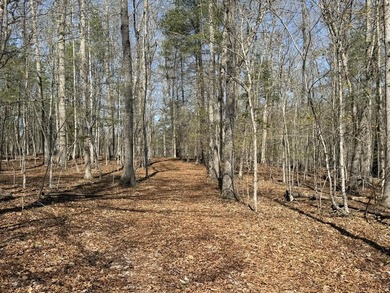 Escape to your own slice of paradise on 61 beautiful acres - photo 24